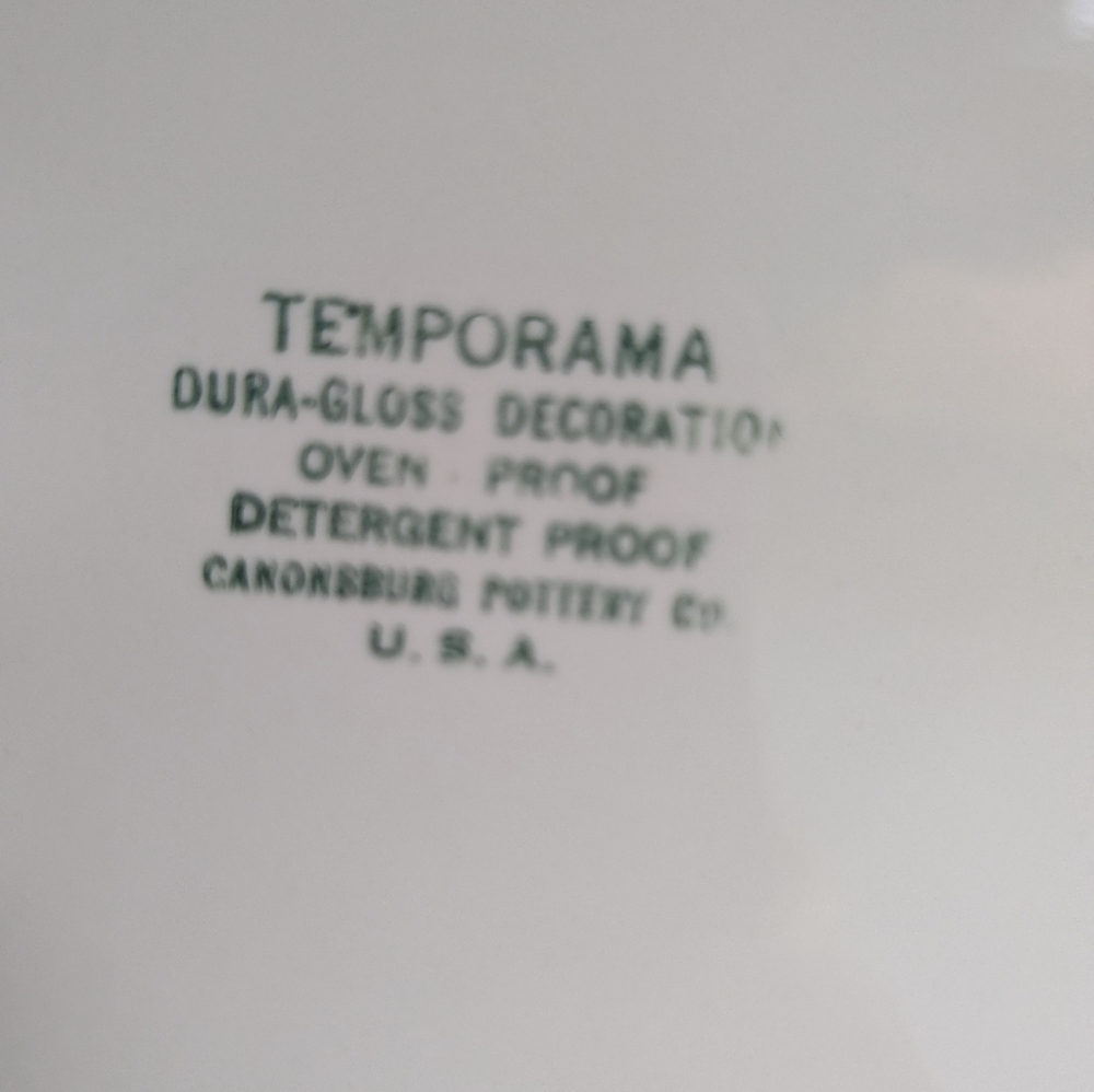 Temporama Cannonsburg Pottery Co Mid Century Dinner Plate - Picture 4 of 4